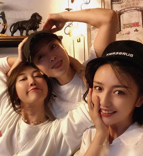 在哪看狗仔爆料视频最新,揭秘娱乐圈幕后真相