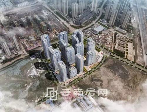 昆明海豚湾爆料视频大全,揭秘幕后真相与精彩瞬间  第2张